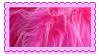 pink fur